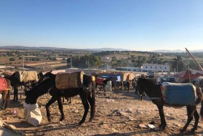 Berber Market in Ida Ogourd & Visit of an Argan cooperative.