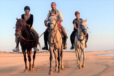 Horse riding on the beach of Essaouira 1 hour Horse riding on the beach of Essaouira 1 hour