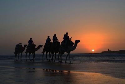 Essaouira: An unforgettable 2 hour ride on a camel Essaouira: An unforgettable 2 hour ride on a camel