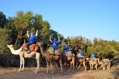 Essaouira: 2 hour ride 1 person per dromedary Essaouira: 2 hour ride 1 person per dromedary