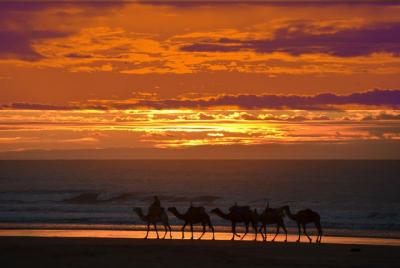 Essaouira: 3 hours circuit on camel special sunset. Essaouira: 3 hours circuit on camel special sunset.