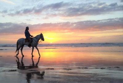 Horse riding at sunset for 2 hours Horse riding at sunset for 2 hours