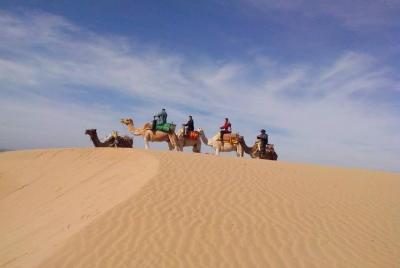 3-hour Dromedary Ride in Essaouira 3-hour Dromedary Ride in Essaouira