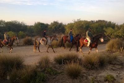 3 Hours Horse Riding with Diner and Overnight From Essaouira