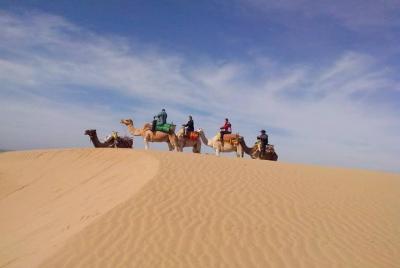 3-hour Dromedary Ride in Essaouira with Diner and Overnight