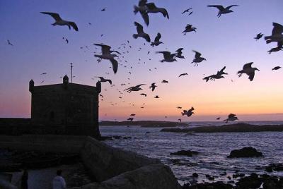 4-Day Essaouira ( Astapor / Game of Thrones ) 4-Day Essaouira ( Astapor / Game of Thrones )