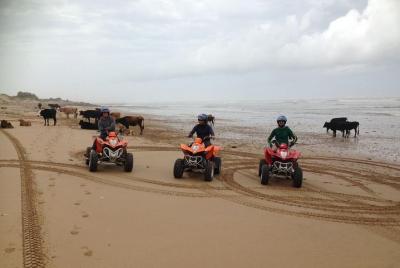 Quad 1 hour ride on the beach and the dunes of Essaouira Quad 1 hour ride on the beach and the dunes of Essaouira