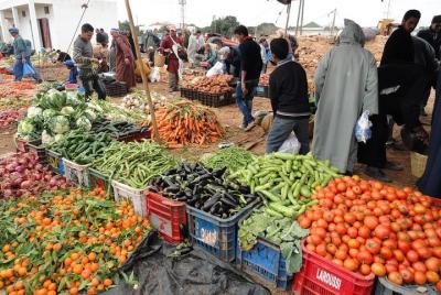 Essaouira Tour - Half day visit to berber market  Essaouira Tour - Half day visit to berber market