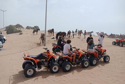 Excursion 1/2 day in Quad southern region of Essaouira