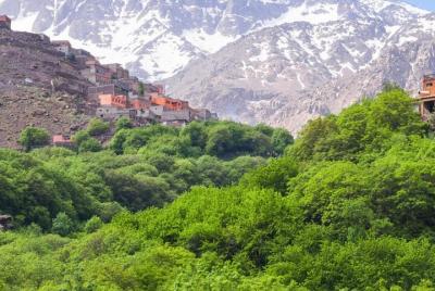 fez to middle atlas day trip fez to middle atlas day trip