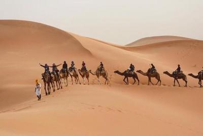 Camel Ride with 1 night in Luxury Desert Camp  Camel Ride with 1 night in Luxury Desert Camp