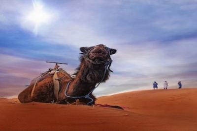 Fez to Fez 2 days desert tour Fez to Fez 2 days desert tour
