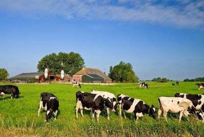 Farm Life Excursion from Fez