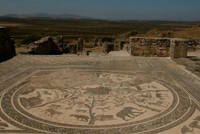 Private Tour from Fez: Meknès and Roman Ruins of Volubilis  Private Tour from Fez: Meknès and Roman Ruins of Volubilis