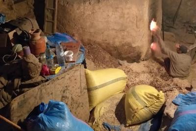 Cultural Guided Tour of Fes  Cultural Guided Tour of Fes