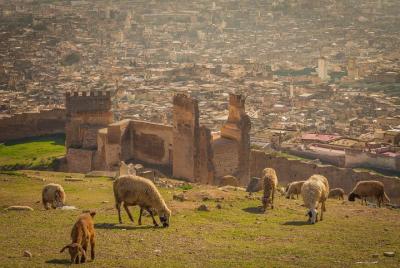 Fes Private Guided Tour Fes Private Guided Tour