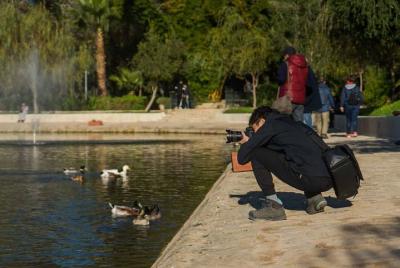 Fez Private Photography Tour Fez Private Photography Tour