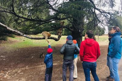 Day trip from Fez to Middle Atlas Mountains, Cedar Forest and Azrou  Day trip from Fez to Middle Atlas Mountains, Cedar Forest and Azrou