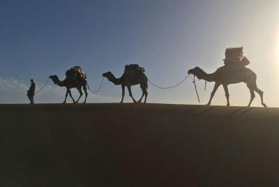 Sahara Express - Camel Trek & 4x4 - Erg Chigaga Great Dunes, depart M Sahara Express - Camel Trek & 4x4 - Erg Chigaga Great Dunes, depart M'Hamid