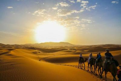 Sunset Camel Trek - M Sunset Camel Trek - M'Hamid El Ghizlane