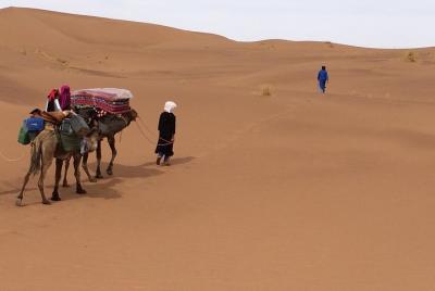 Camel Trekking the  Camel Trekking the 'Gateway to the Desert'