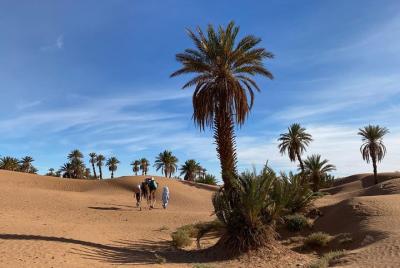 3-day trek - In the shade of palm trees 3-day trek - In the shade of palm trees