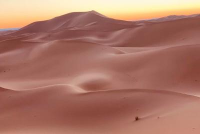 Tour Dunes of M Tour Dunes of M'Hamid-Sable Voyage