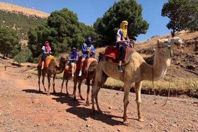 Marrakech day trip to the magical Atlas Mount, Camel ride & three valleys