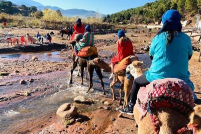 Marrakech authentic day tour, Atlas Mount, Camel Ride, three valley, waterfalls 