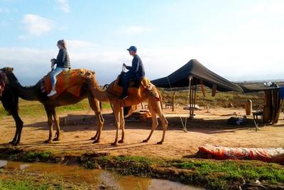 Best Full-Day Cultural Trip to the Atlas Mountains from Marrakech