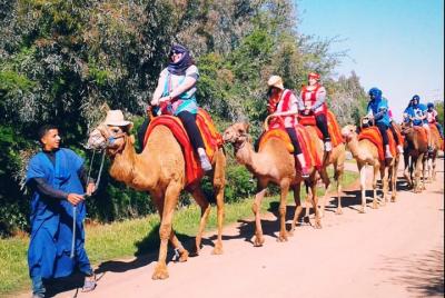Atlas mountains day trip from Marrakech with camel ride