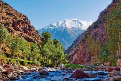 Ourika Valley: Atlas Mountains day trip from Marrakech