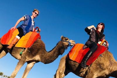 Atlas montains day trip 3 Valleys & camel ride, meet local family Atlas montains day trip 3 Valleys & camel ride, meet local family