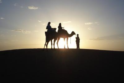 Sunset Camel Ride through the Oasis of Agafay with BBQ dinner