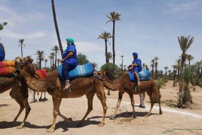 Camel Ride Marrakech