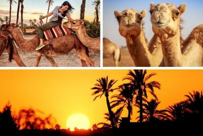 Marrakech Palmeraie: Camel Ride at Sunset Marrakech Palmeraie: Camel Ride at Sunset