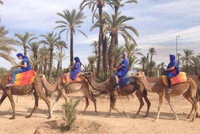 activities in Marrakech camel ride tour in palm grove activities in Marrakech camel ride tour in palm grove