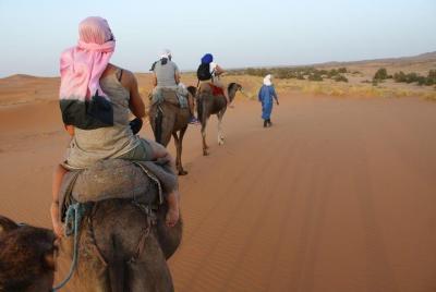 2Day Desert Safari to Zagora from Marrakech Including Camel Trek 