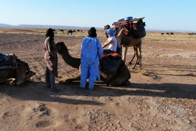 Morocco desert trek dromedary Morocco desert trek dromedary