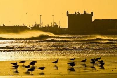 Essaouira Private Full-Day Trip from Marrakech