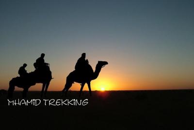 Hiking, Trekking in the desert in southern Morocco