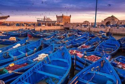 Best shared day trip to Essaouira from Marrakech