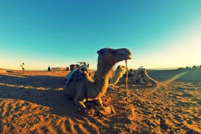 Shared Multi-Day Tour in Zagora With Free Meal