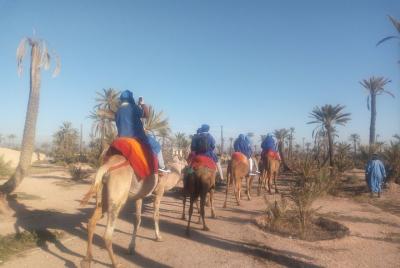 Balade à dos de Chameau dans la palmeraie de Marrakech