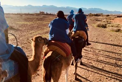 Atlas Mountains, Imlil, 4 valleys and Camel Ride from Marrakech