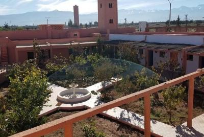 3 Days of Sufi, Shaolin & Taoist Healing Practices & Training