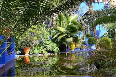 The Majorelle Garden and the palm grove by camel from Marrakech The Majorelle Garden and the palm grove by camel from Marrakech
