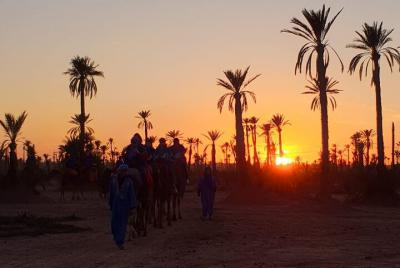 Sunset Camel ride Marrakech at the Palmeraie 