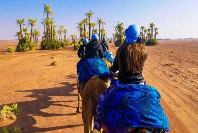 Sunset Camel Ride Tour In Marrakech Palm Groves Sunset Camel Ride Tour In Marrakech Palm Groves