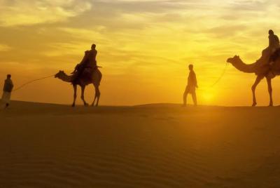 Desert Camel Ride with Dinner in Marrakech